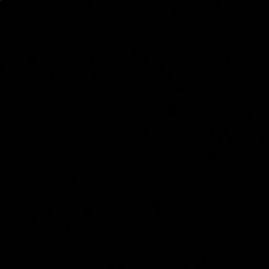 Meet your Posher, Katelyn